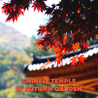 Gentle Music Sanctuary - Chinese Temple in Autumn Garden: Asian Zen Spiritual Music, Japanese Nature Sounds, Cherry Spring Pond, Golden Light in the Rainy Night artwork