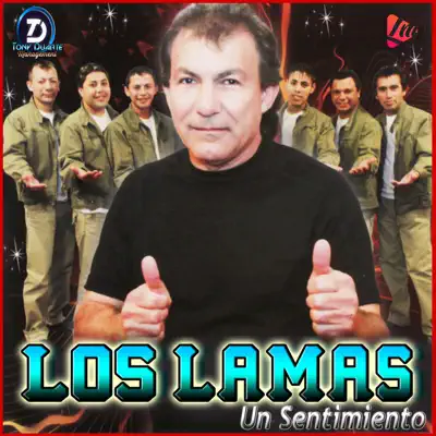 Un Sentimiento - Los Lamas