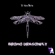 Bromo Dragonfly (Violin Mix) - Dj Manifesto