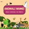 Animals Name From P - Genius Mind Productions lyrics