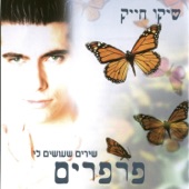 לעוף בשניים artwork