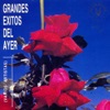 Grandes Éxitos del Ayer, 1992