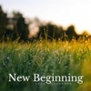 New Beginning - Single