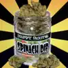 Spinach Dip - Single album lyrics, reviews, download