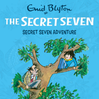 Enid Blyton - Secret Seven Adventure artwork