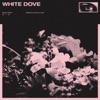 Koda - White Dove