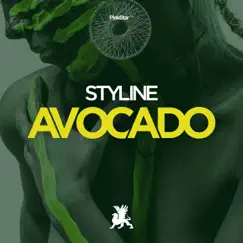 Avocado (Club Mix) Song Lyrics
