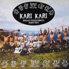 Kari Kari