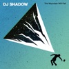 DJ Shadow Feat. Run The Jewels - Nobody Speak