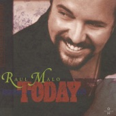 Raul Malo - Every Little Thing About You