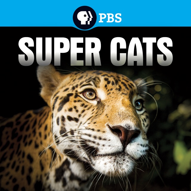 Nature: Super Cats - Science and Secrets
