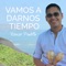 Vamos a Darnos Tiempo artwork