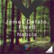 Nebula - James Delato & Flexb lyrics