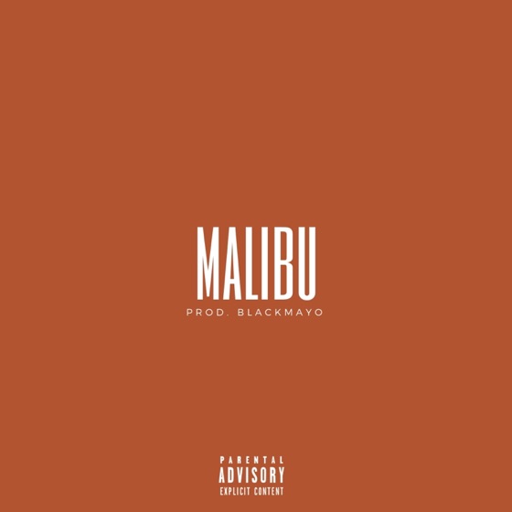 Cover artwork for Malibu