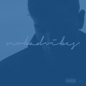 No Bad Vibes - Single