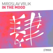 In the Mood (Extended Mix) artwork