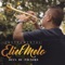 Infinito Amor (feat. Daniel Pereira) - ELIEL MELO lyrics