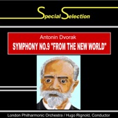 Symphony No. 9 in E Minor, Op. 95, "From the New World": IV. Allegro con fuoco artwork