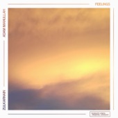 Feelings (feat. Adam Imanullah) artwork
