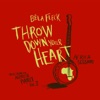 Throw Down Your Heart: Tales from the Acoustic Planet, Vol.3 - Africa Sessions, 2009