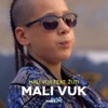 Mali Vuk (feat. Zuti) - Single
