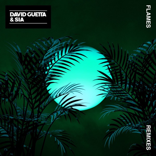 Flames (Remixes) - EP - David Guetta & Sia