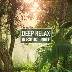 Deep Relax in Exotic Jungle: Amazonian Oasis, Tropical Harmony, Birds of Peace Island, Rhythm of Calming Forest by Calm music masters album reviews, ratings, credits