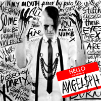 Angelspit - Hello My Name Is artwork