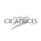 Cicatrices (feat. Nery Godoy) - Piter-G lyrics