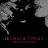 The Social Animals - Cheer up Charlie