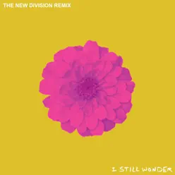 I Still Wonder (The New Division Remix) - Single - The Chain Gang Of 1974