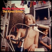 The Essex Green - Don't Leave It in Our Hands