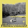 Paracetamolo (TY1 Remix) - Single