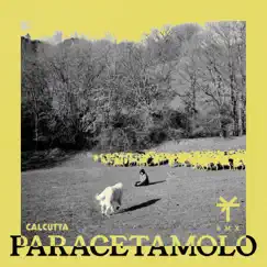 Paracetamolo (TY1 Remix) - Single by Calcutta & TY1 album reviews, ratings, credits