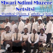 Mwari Ndimi Muzere Netsitsi artwork