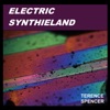 Electric Synthieland, 2018
