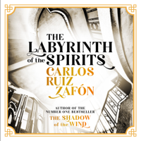 Carlos Ruiz Zafón - The Labyrinth of the Spirits artwork