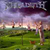 Youthanasia (Remastered) album lyrics, reviews, download