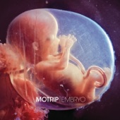 Embryo artwork