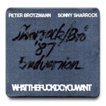 Peter Brötzmann & Sonny Sharrock - Whatthefuckdoyouwant 5