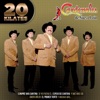 Belleza De Cantina by Cardenales De Nuevo León iTunes Track 3