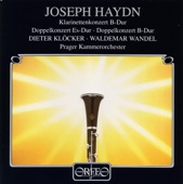 Haydn: Clarinet Concertos artwork