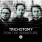 Point of Departure - Trichotomy lyrics