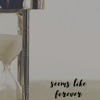 Seems Like Forever - Single