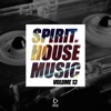 Spirit of House Music, Vol. 13, 2017