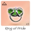 Ring of Pride #3, 2017