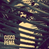 Cisco Pema artwork