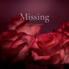 Missing - Single