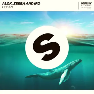 Ocean by Alok, Zeeba & Iro song reviws