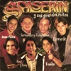 Salserin
